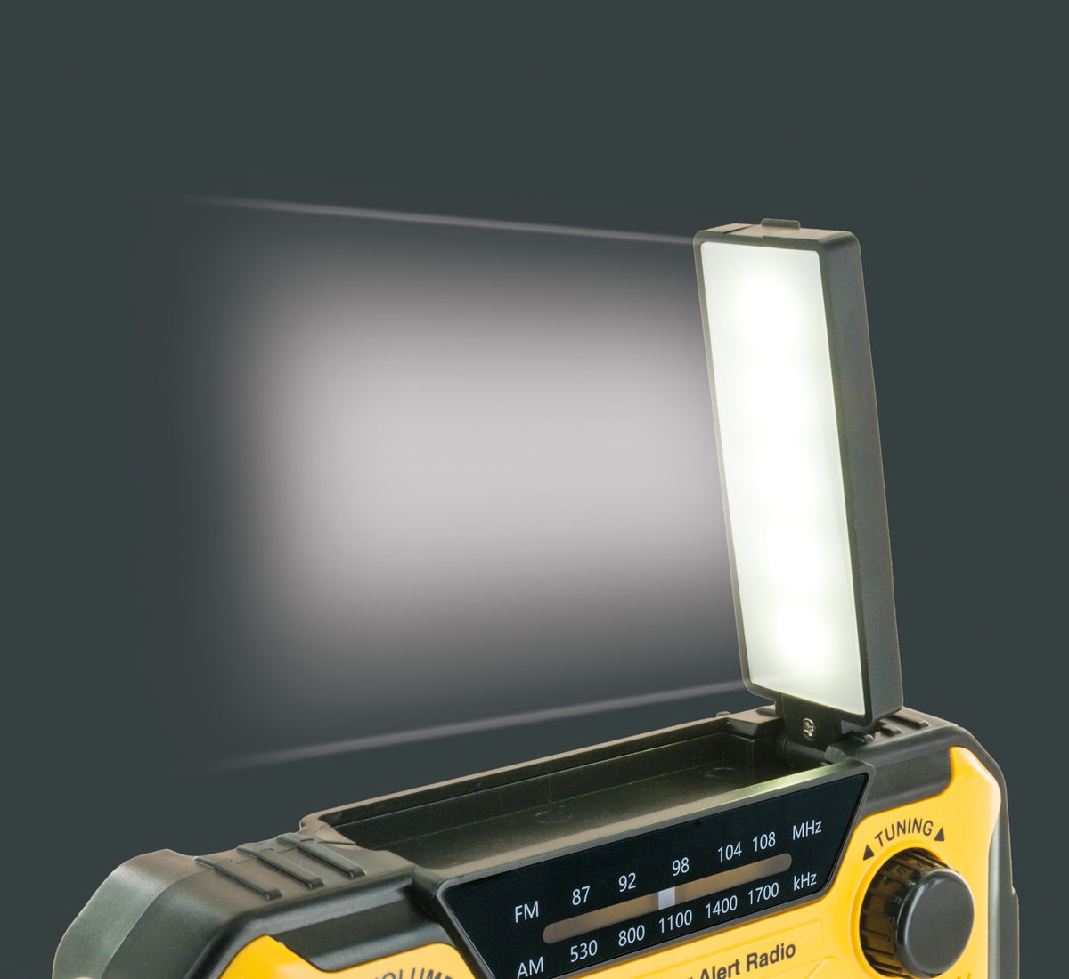 FM outdoor radio with solar panel, flashlight & power bank function