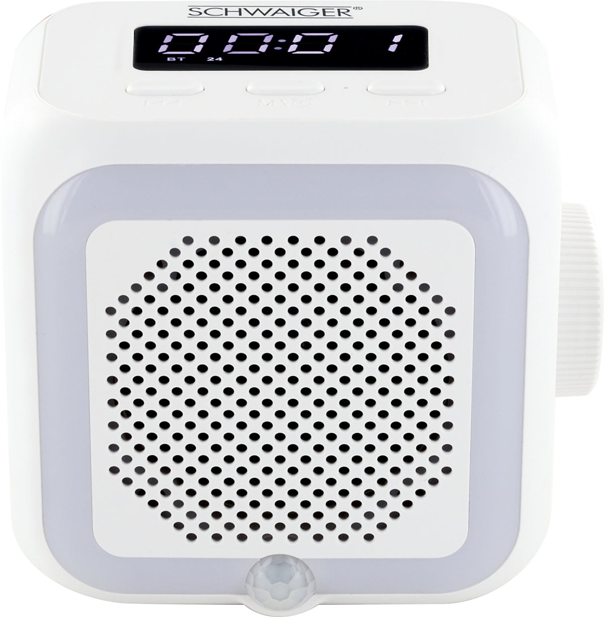 Socket radio with light sensor and lighting