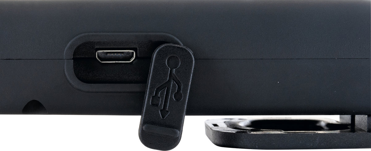 Work light with hook & magnet