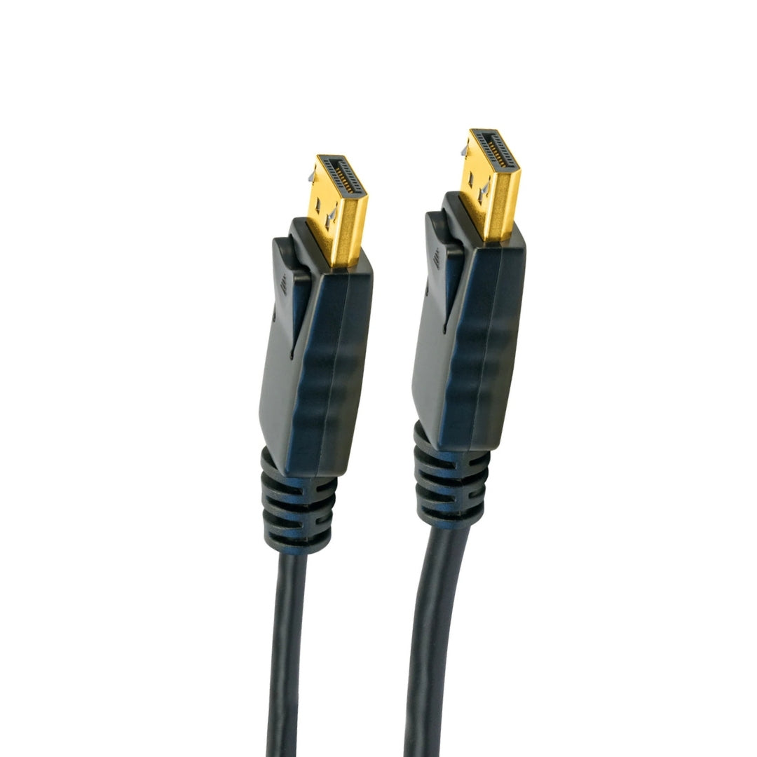 DisplayPort