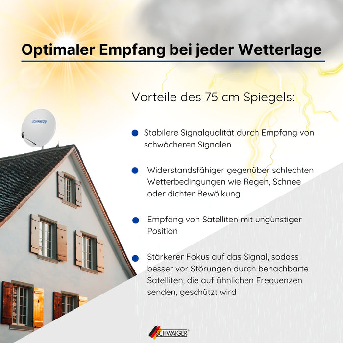 Satellitenanlage Set Hellgrau Stahl 75 cm