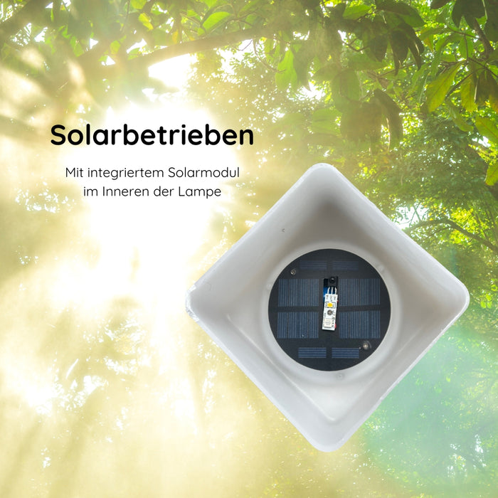 Solar-Tischleuchte mit Trageriemen