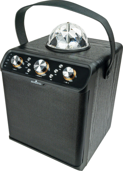 Bluetooth® Party Lautsprecher (30W)