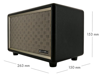 Retro Bluetooth® Speaker (24W)