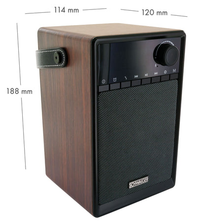 Clock radio via FM (analogue) and AUX-IN