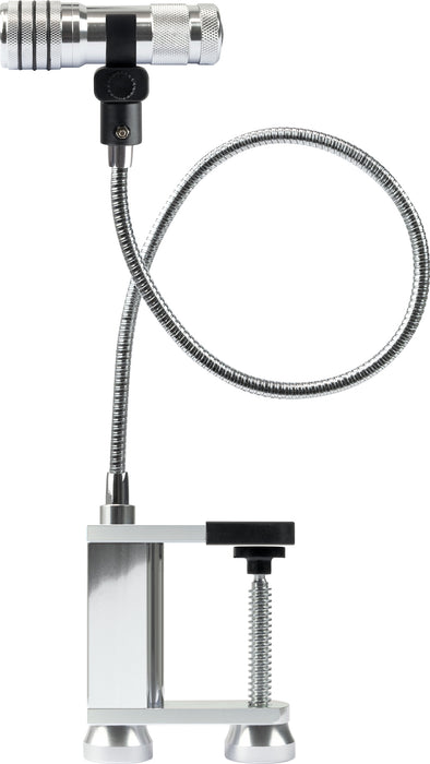 Grill light with gooseneck and clamp mount
