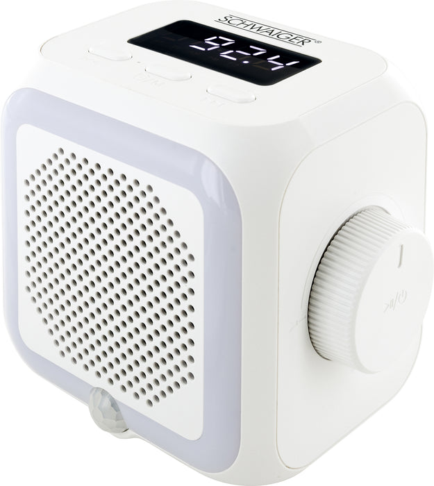 Socket radio with light sensor and lighting