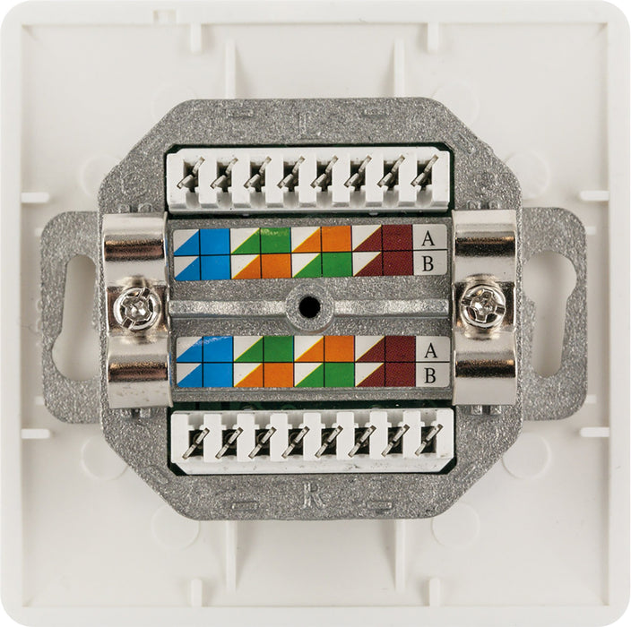 Netzwerk Anschlussdose (AP)