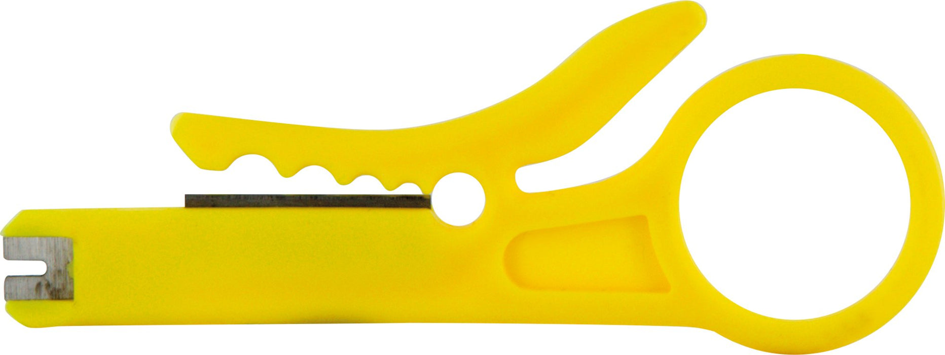 Netzwerk Anschlussdose (AP)