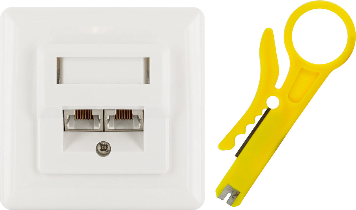 Netzwerk Anschlussdose (AP)