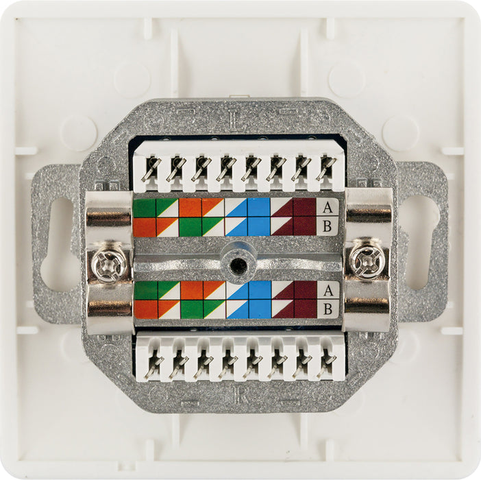 Netzwerk Anschlussdose (AP)