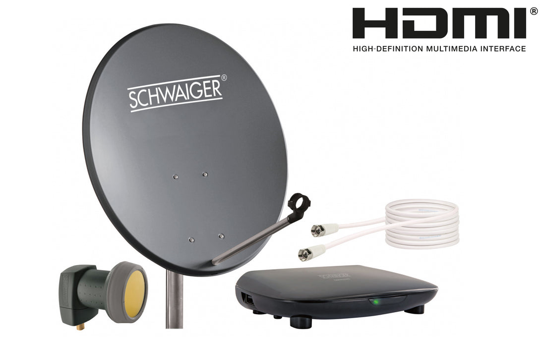 SAT set (55 cm + LNB + receiver + connection cable)