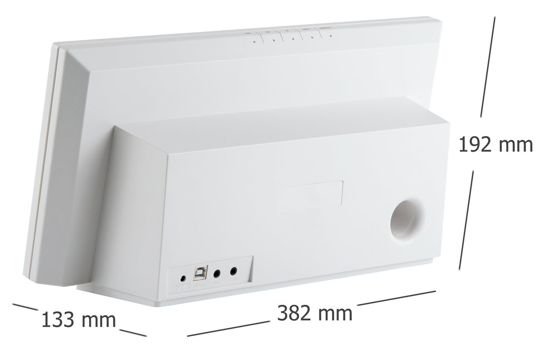 Hybrid Hi-Fi Lautsprechersystem mit Vakuum Röhrenverstärker (Bluetooth, NFC, AUX, USB, etc.)