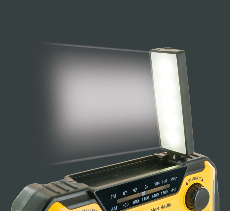 FM outdoor radio with solar panel, flashlight & power bank function