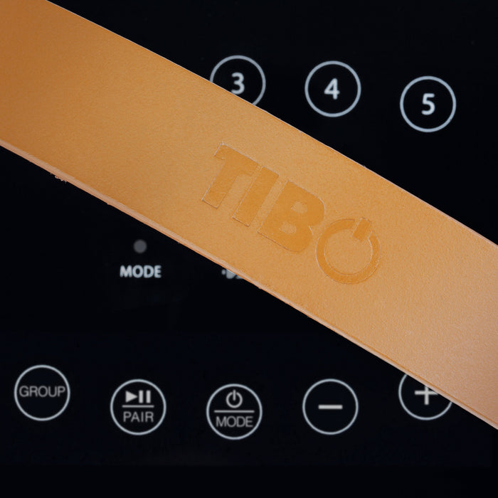 TIBO WiFi Lautsprecher (30 W)